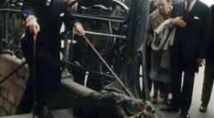 Salvador dali, hangyák és más egzotikus háziállatok